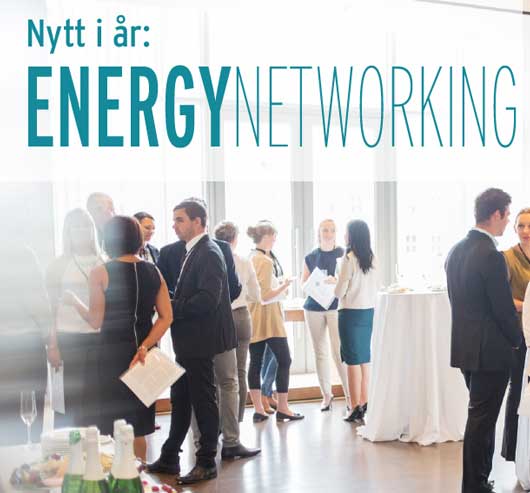 Beskrivelse av bildet