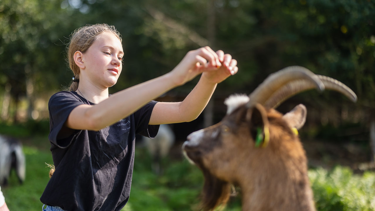 Barn klappar en get med stora horn i en grön utomhusmiljö