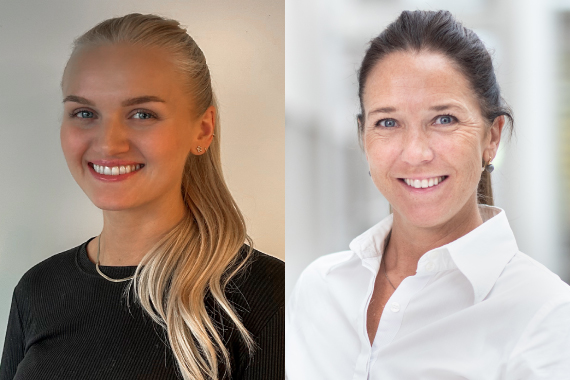 Beskrivelse av bildet